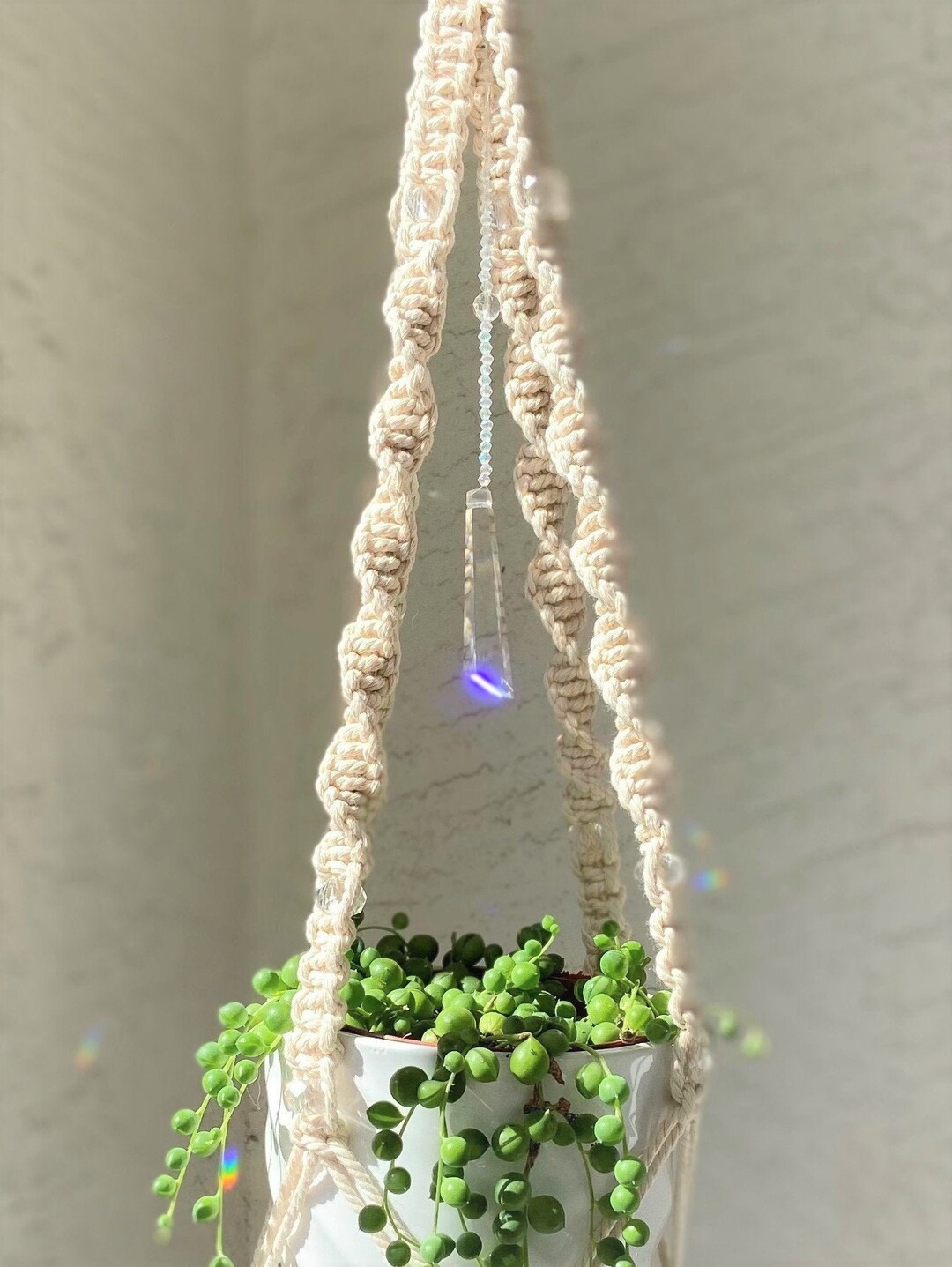 Crystal Macrame SunCatcher Plant Hanger from the Zen Collection | Etsy (US)