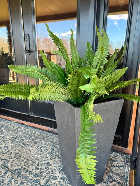 The perfect outdoor arrangement! Looks perfect for summer and spring! 
Fashionablylatemom 
Nearly Natural 40in. Boston Fern (Set of 2), Green
Veradek V-Resin Indoor/Outdoor Taper Planter, Set of 2 (30 inch, Black)
Amazon finds 
Amazon decor 
Home decor 
Plastic planters 
Fern Product 40"D x 40"W x 15"H

#LTKhome