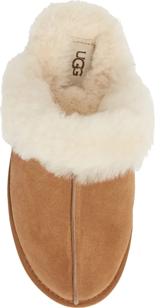 Scuffette II Slipper (Women) | Nordstrom
