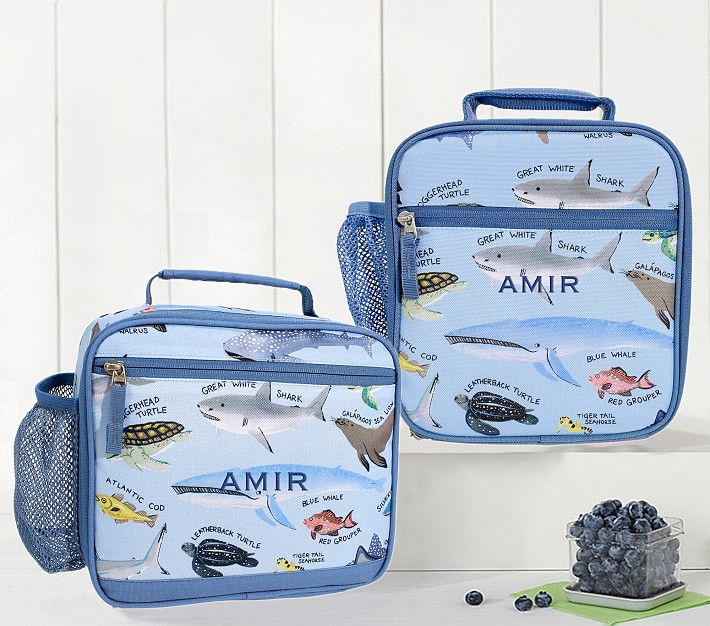 Mackenzie Save Our Seas Lunch Boxes | Pottery Barn Kids