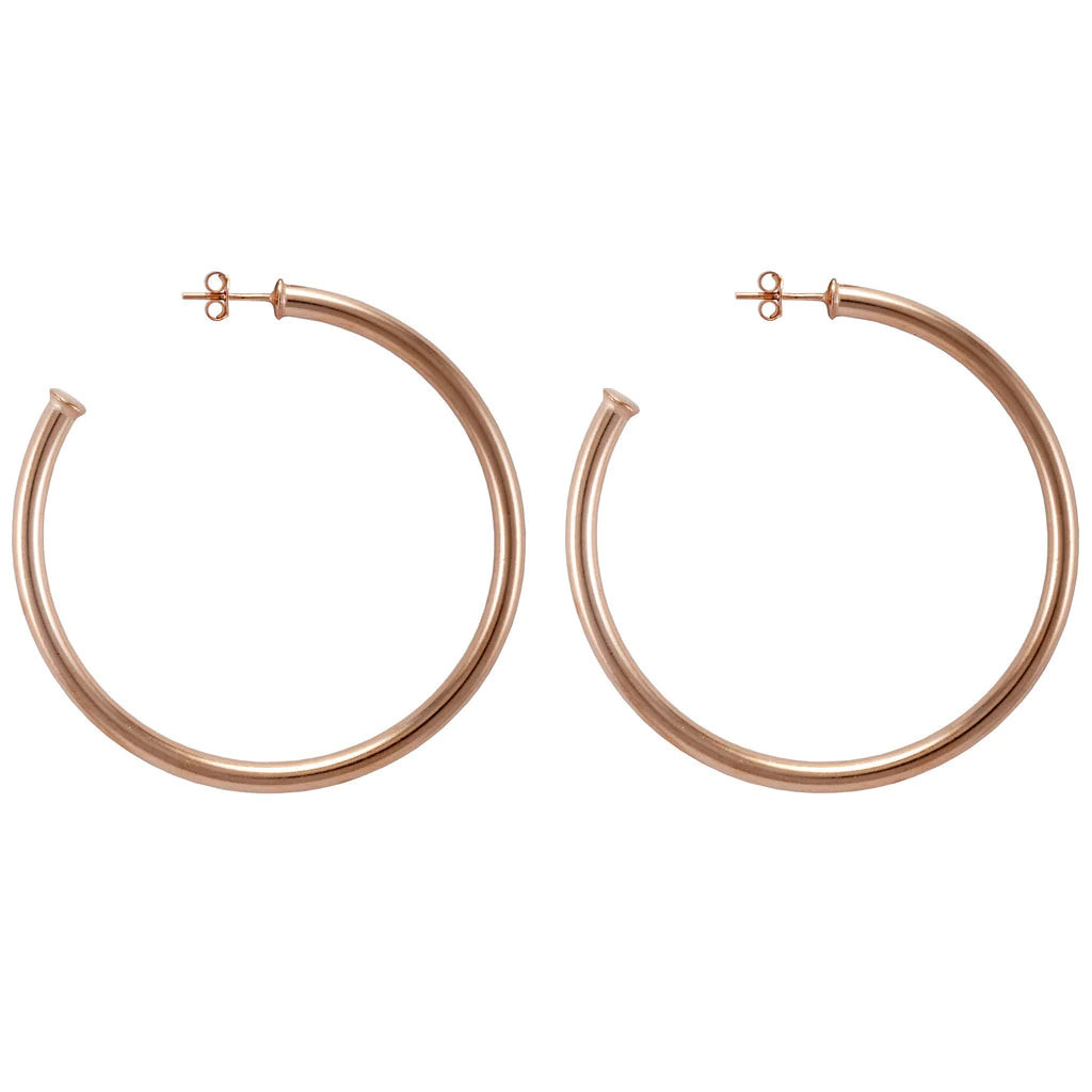 EVERYBODY'S FAVORITE HOOPS SHINY SILVER | Simply Carolina