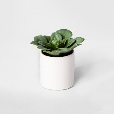 4.5" x 4" Artificial Dudleya Succulent In Pot Green/White - Project 62™ | Target