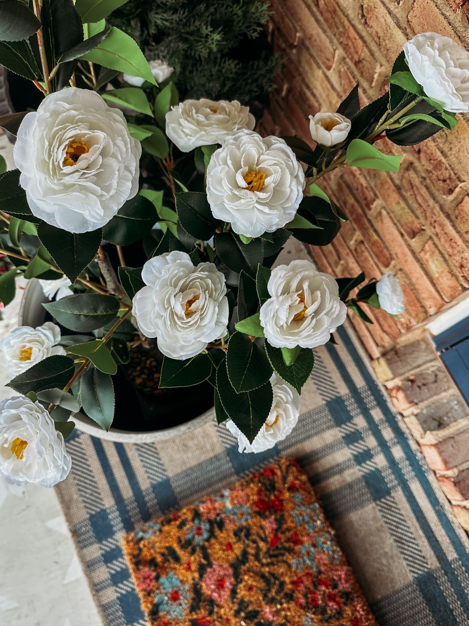 So excited to get my front porch ready for spring with these faux camellia floral bushes and footed urn planters!

#LTKHome #LTKFindsUnder50 #LTKSeasonal