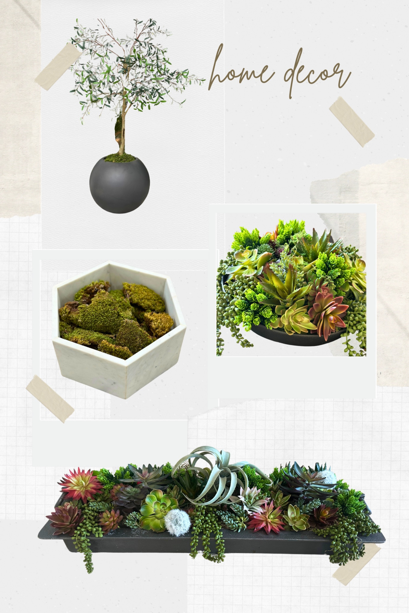 Favorite Planters 

#LTKhome