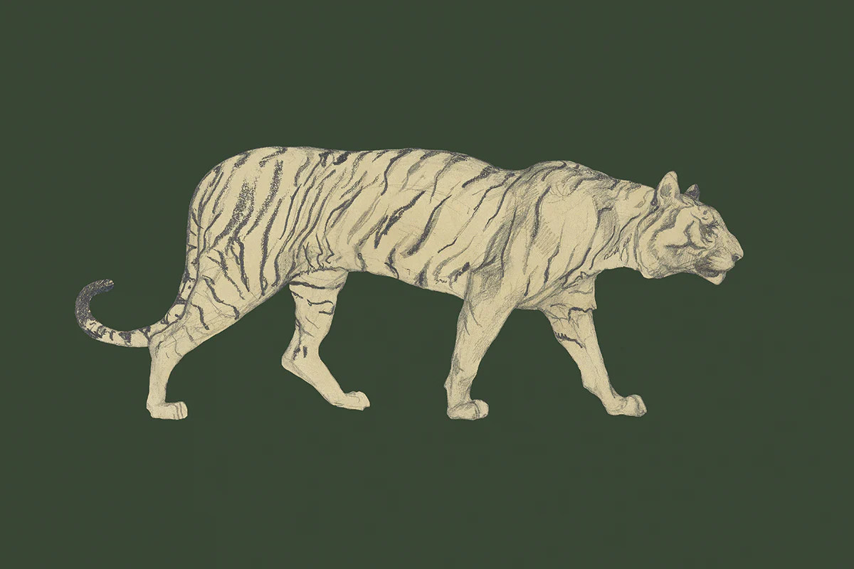 Tiger | Juniper Print Shop