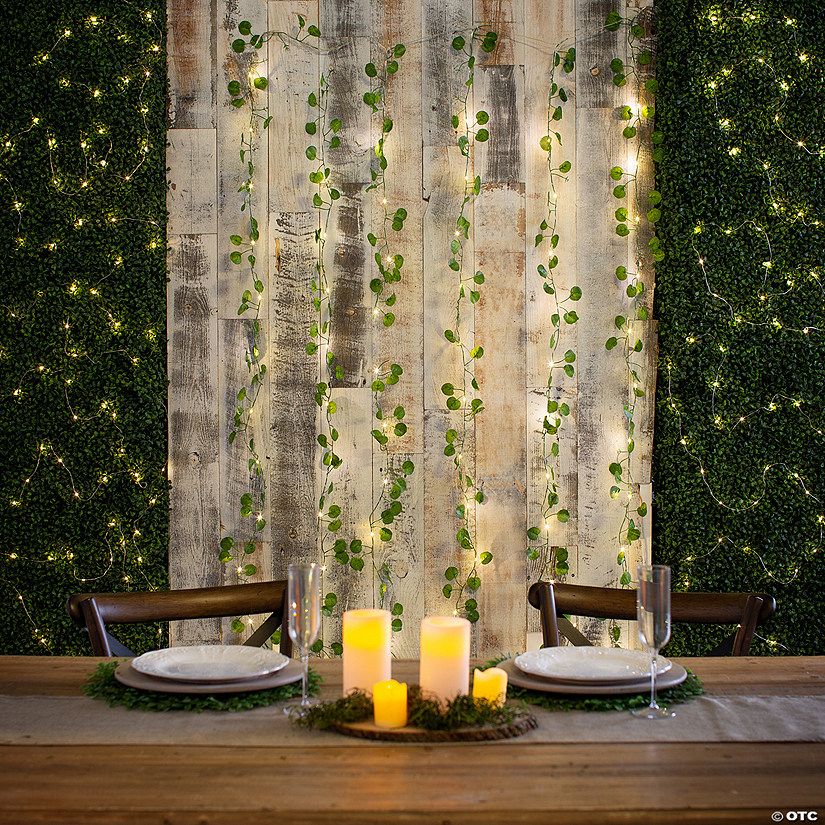 Eucalyptus LED Light Curtain | Oriental Trading Company