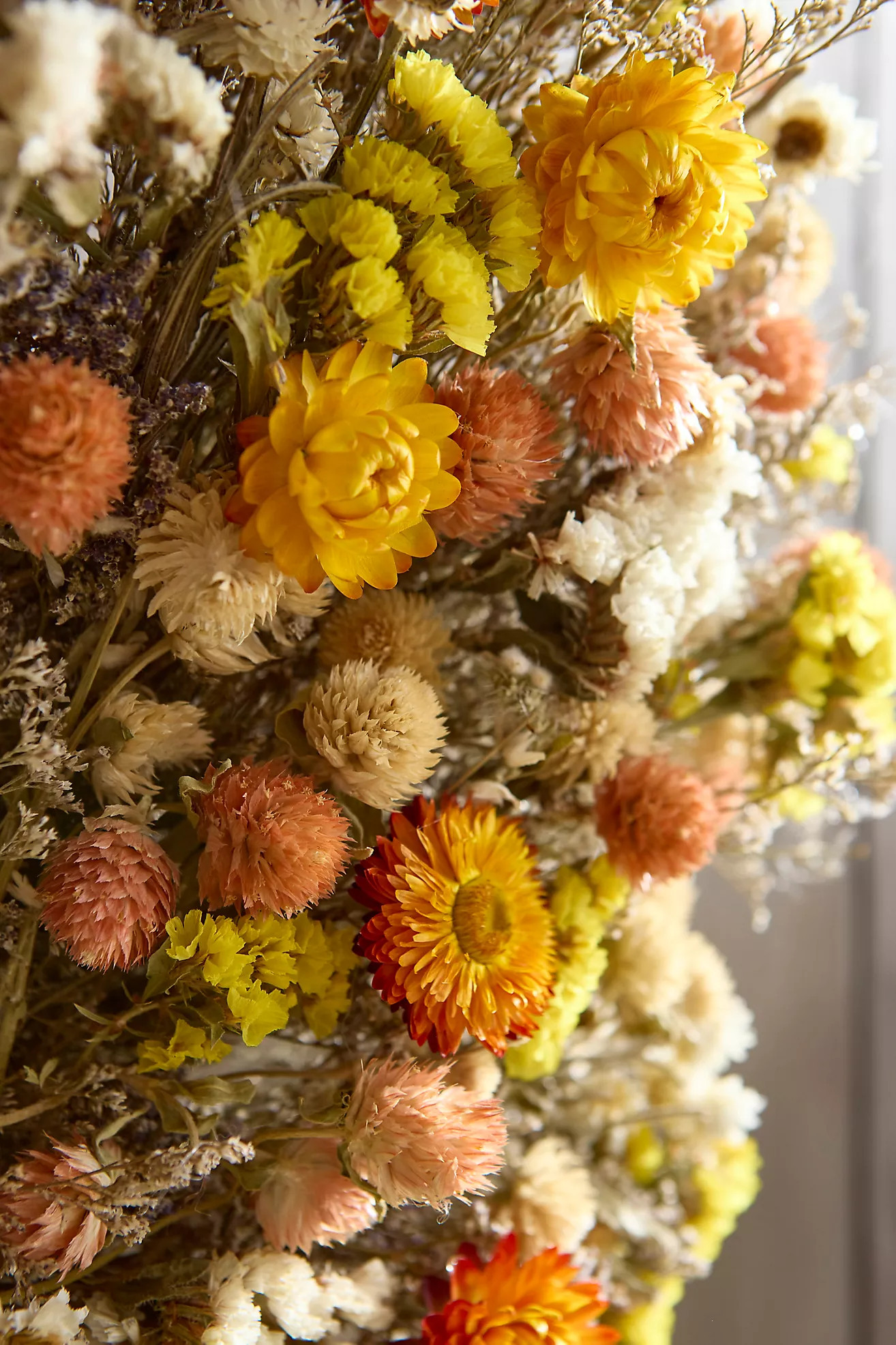 Dried Confetti Wreath | Anthropologie (US)