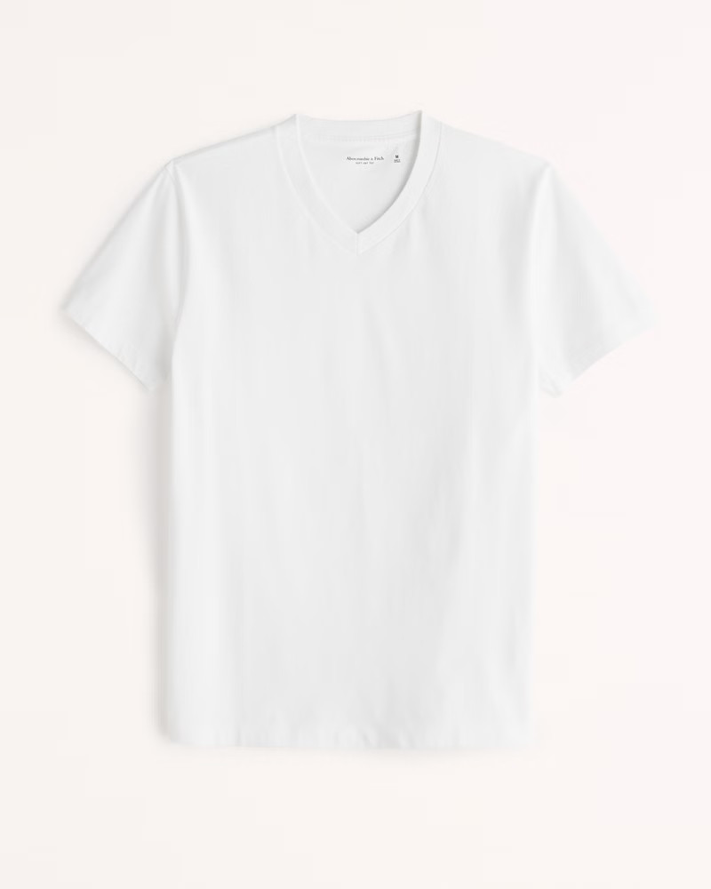 V-Neck Tee | Abercrombie & Fitch (US)