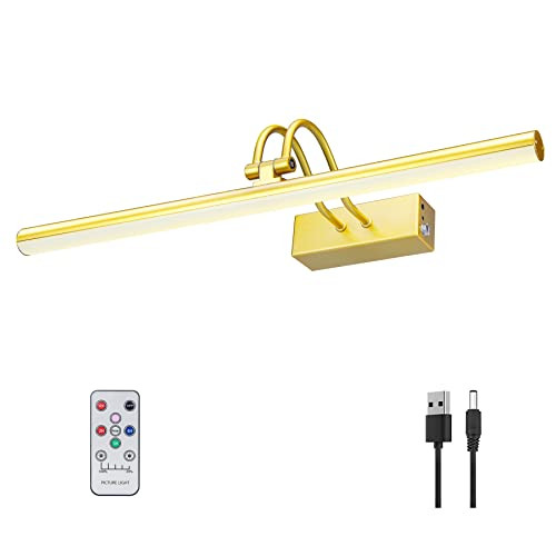 Picture Frame Light,5000mAh Wall Lights Battery Operated,16" Art Light,Gold | Amazon (US)