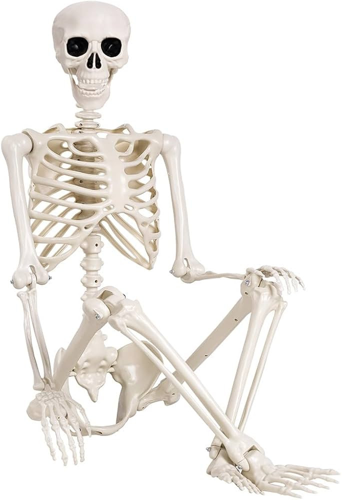 5.4 ft Halloween Skeleton - Life Size Human Skeleton with Full Body Posable Joints - Spooky Scary... | Amazon (US)