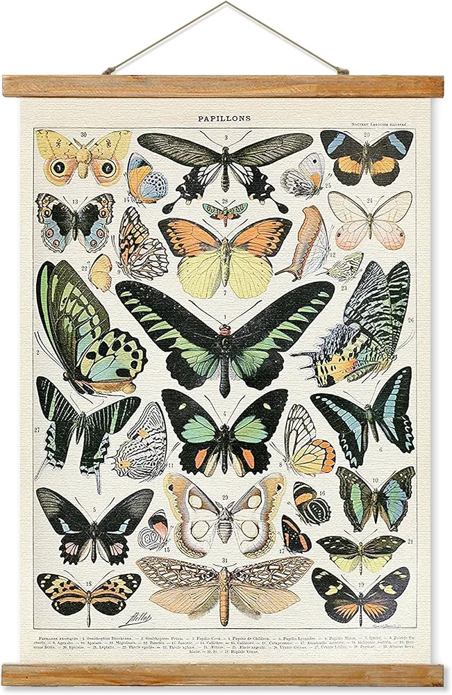 Vintage Butterfly Poster Hanger Frame, Retro Style of Wall Art Prints, Printed on Linen with Natu... | Amazon (US)