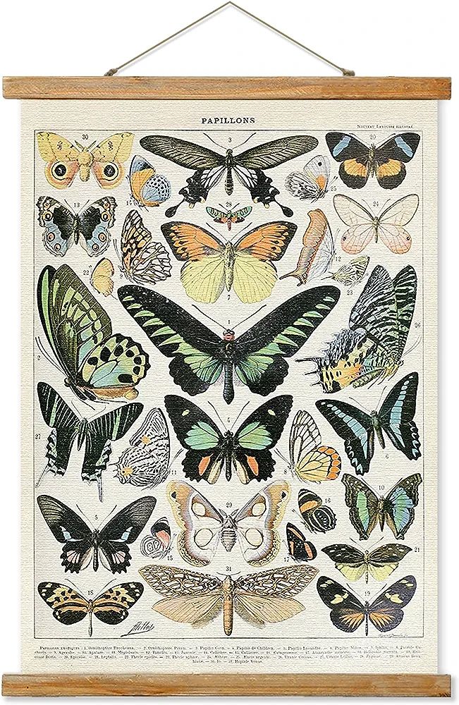Vintage Butterfly Poster Hanger Frame, Retro Style of Wall Art Prints, Printed on Linen with Natu... | Amazon (US)