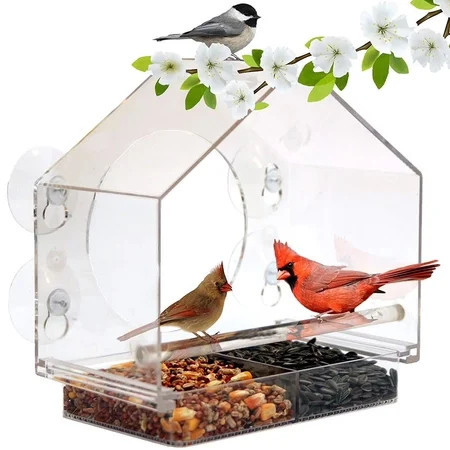 GUCHO Window Bird Feeder with 4 Extra Strong Suction Cups, Sturdy and Durable Acrylic Bird Feeders for Viewing Wild Bird Outside, as a Bird Watching Gift, Outdoor Bird Feeder, and Garden Decor | Walmart (US)