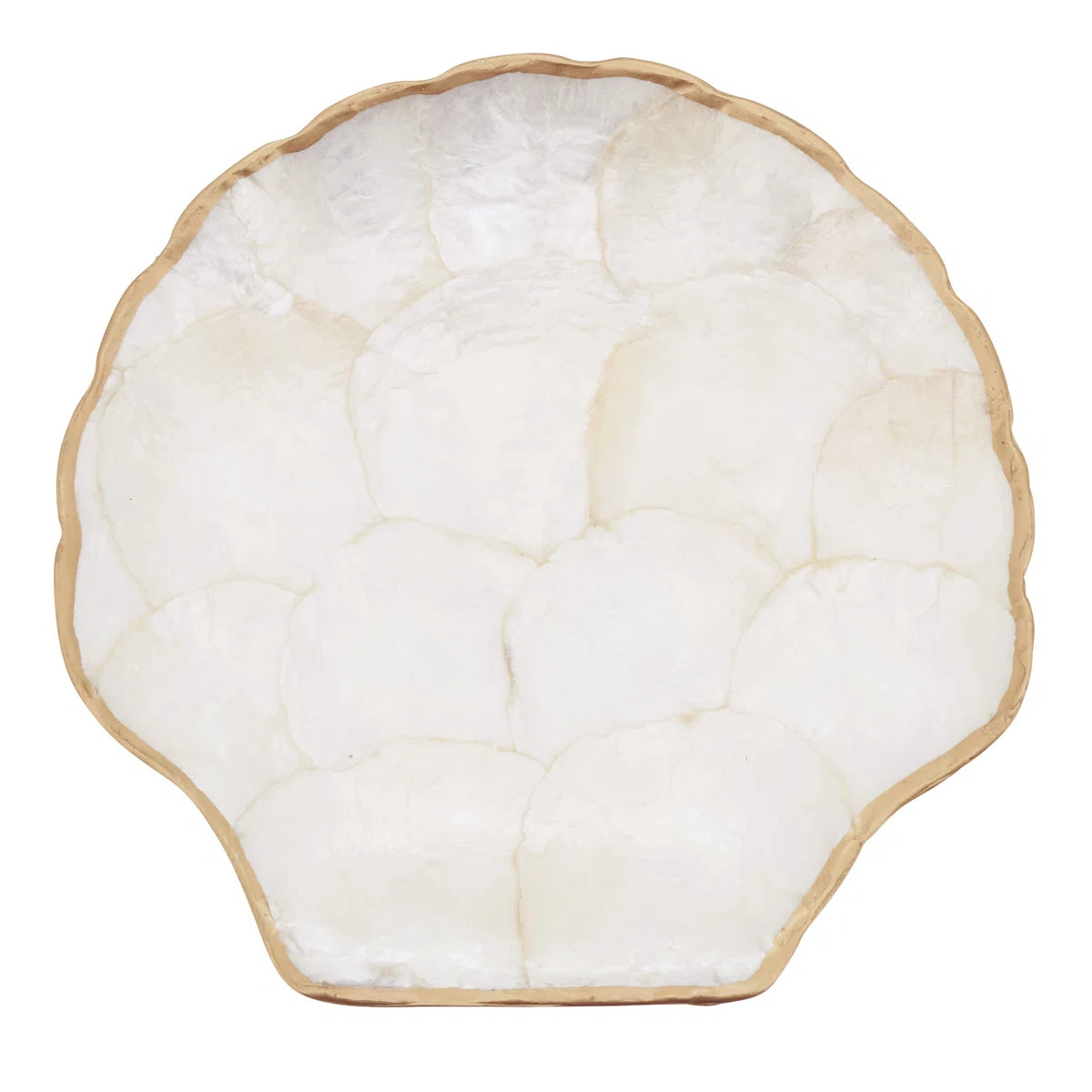 Capiz Shell Scallop Plates (Set of 4) \u2013 Coastal Decorative Plates with Gold Trim, 8" (Set of... | Wayfair North America