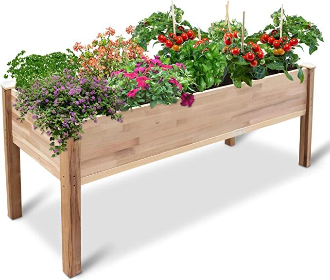 Jumbl Raised Canadian Cedar Garden Bed | Elevated Wood Planter for Growing Fresh Herbs, Vegetable... | Amazon (US)