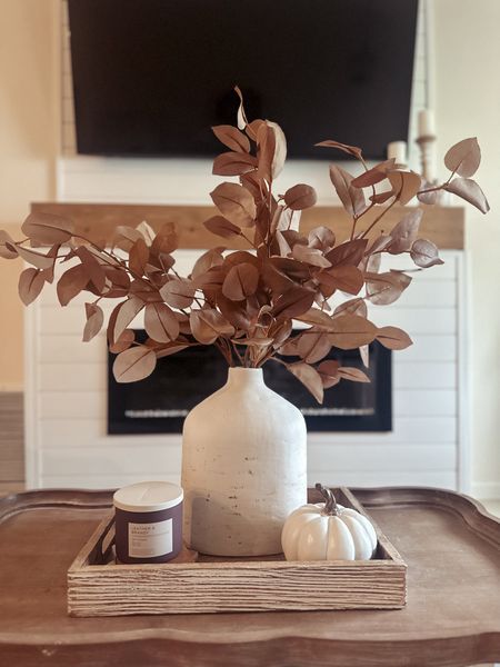 Fall coffee table home decor 


Target | Fall | florals | fall stems | home decor | coffee table | large vase | living room | neutral home 


#LTKfindsunder50 #LTKSeasonal #LTKhome