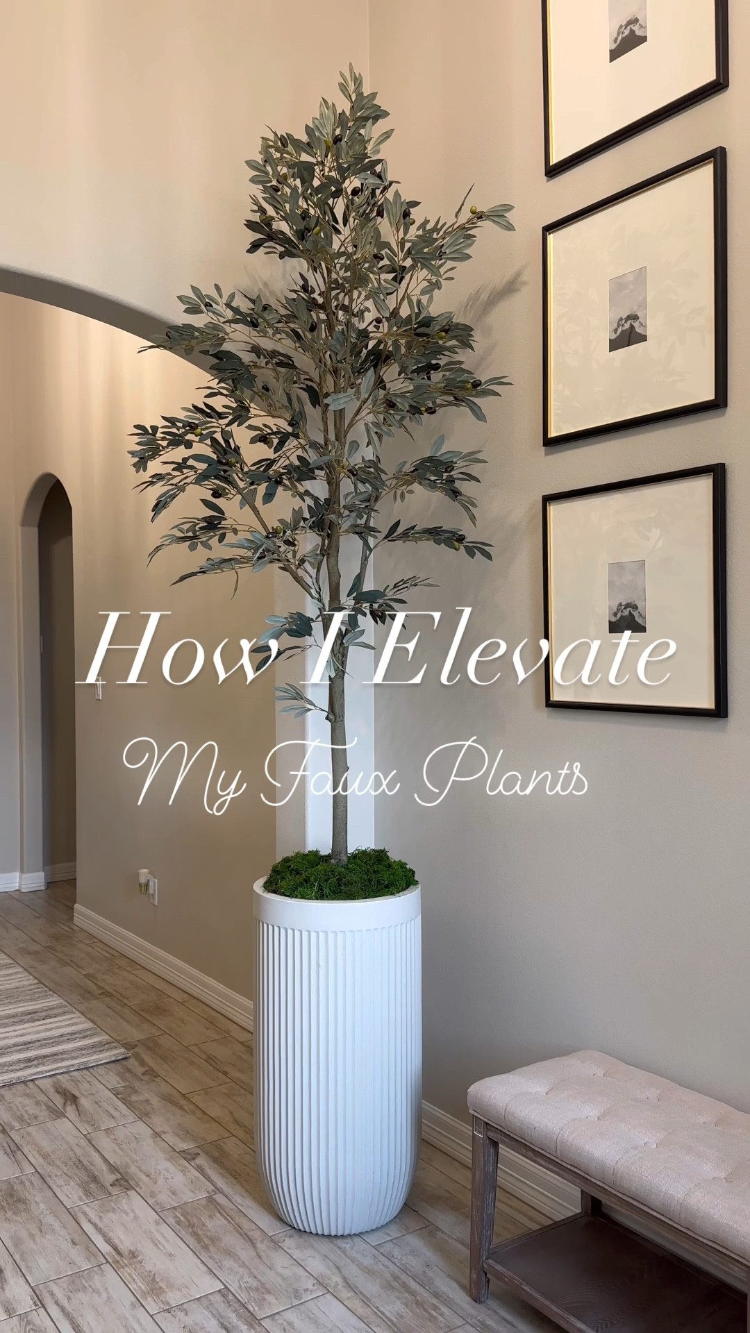 I love to add my faux plants to planters to make a beautiful statement! I got this olive tree from target currently on sale but Amazon has it as well 🤍

#targethomedecor #flutedplanter #potterybarnplanter 
#entrywaydecor #gallerywall #livingroom #livingroomdecor #olivetree #fauxplant #fauxtree #studiomcgee #thresholdtarget #amazonhome #amazonfind #potterybarnvase #potterybarn

#LTKsalealert #LTKFind #LTKhome