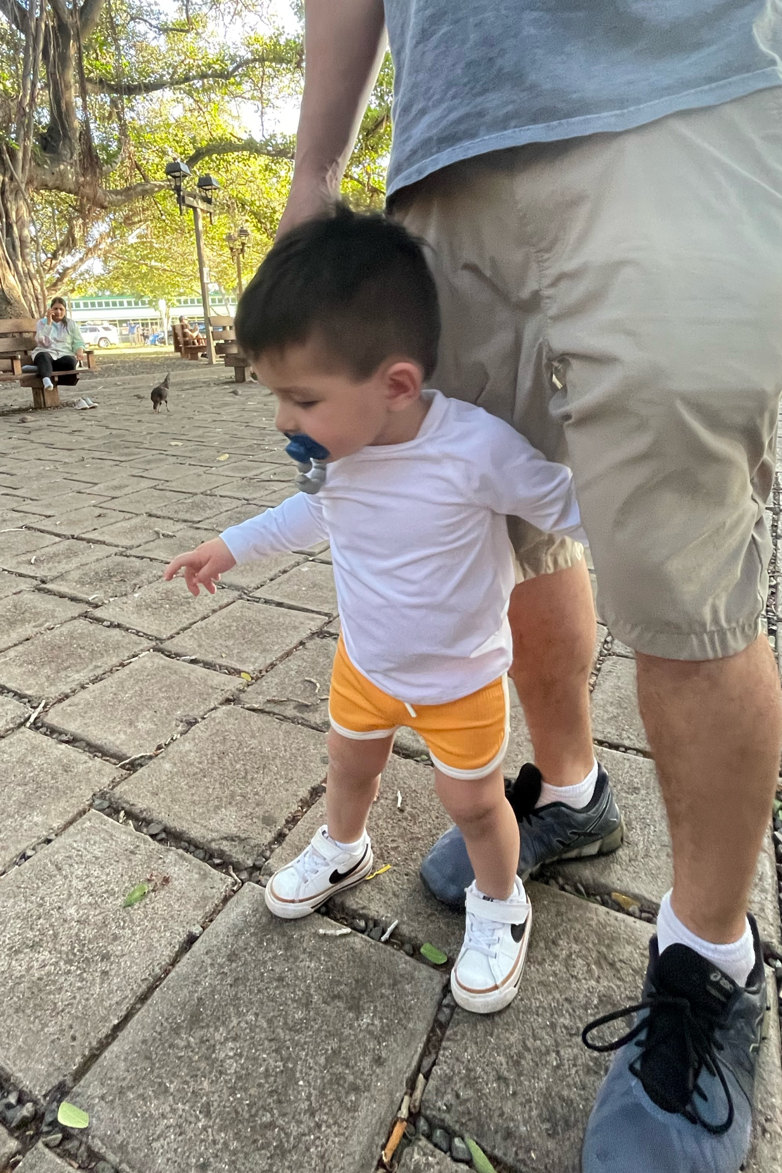 Love the quality of these swim trunks and swim long sleeve top! Both true to size, he’s wearing 2T. Got the shorts and top in blue too! My favorite for him since they are stretchy

#LTKkids #LTKfamily #LTKbaby