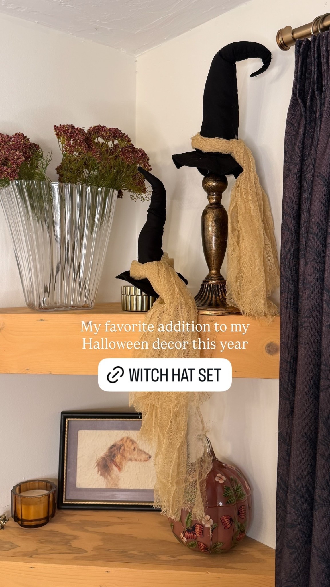 My favorite addition to my Halloween decor this year