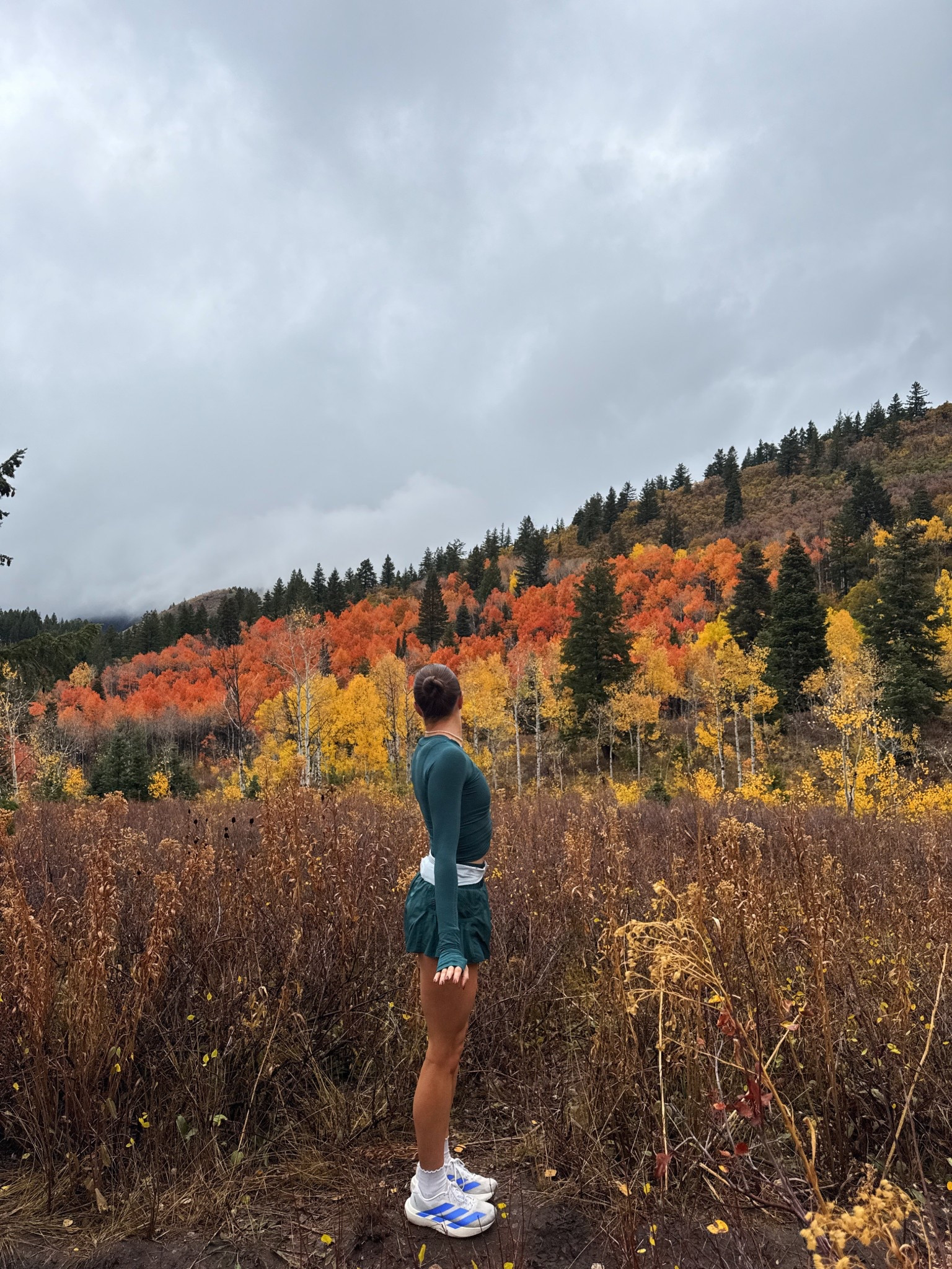 fall colors !!!

#LTKActive