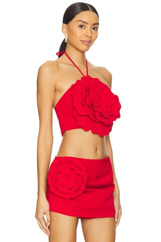 Zora Crop Top in Red | Revolve Clothing (Global)