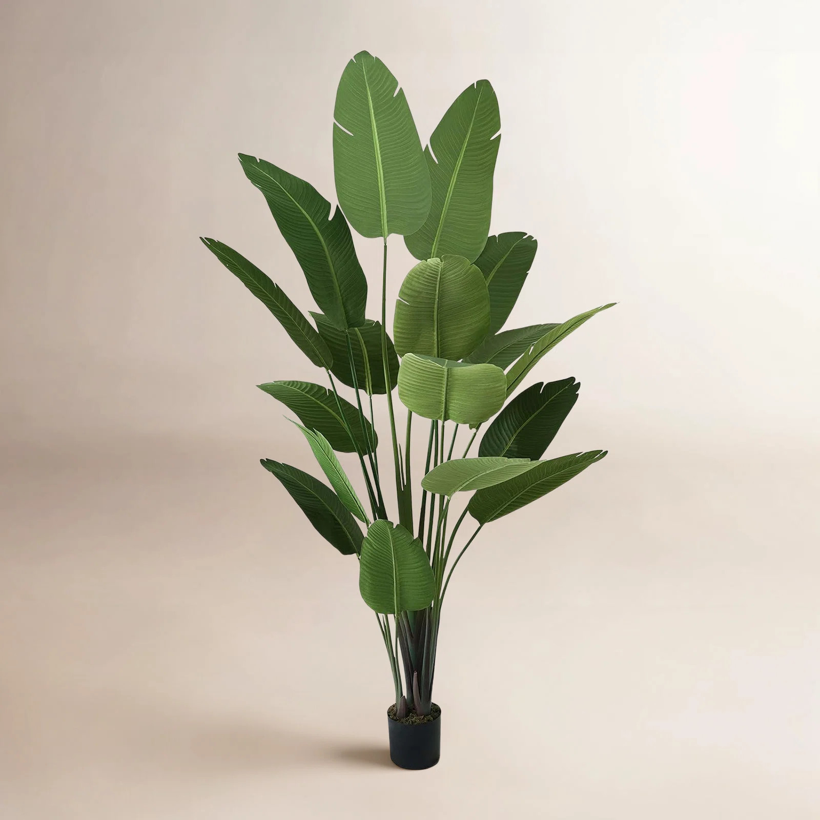 Birch Lane™ Artificial Bird of Paradise in Pot with Dried Moss, UV Resistant, 4 / 5 / 6 / 7 Fee... | Birch Lane