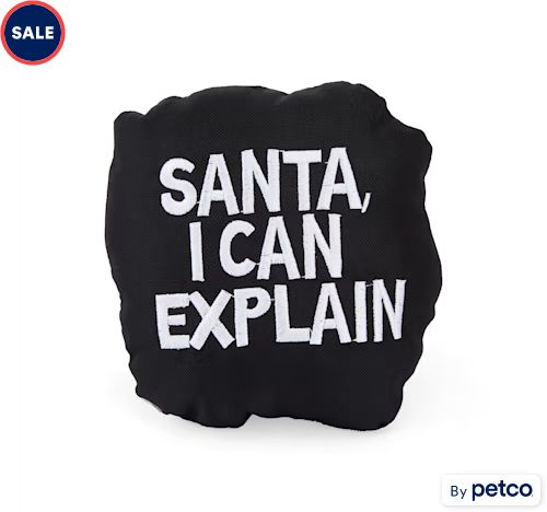 Merry Makings Plush "I Can Explain" Coal Dog Toy, Small | Petco
