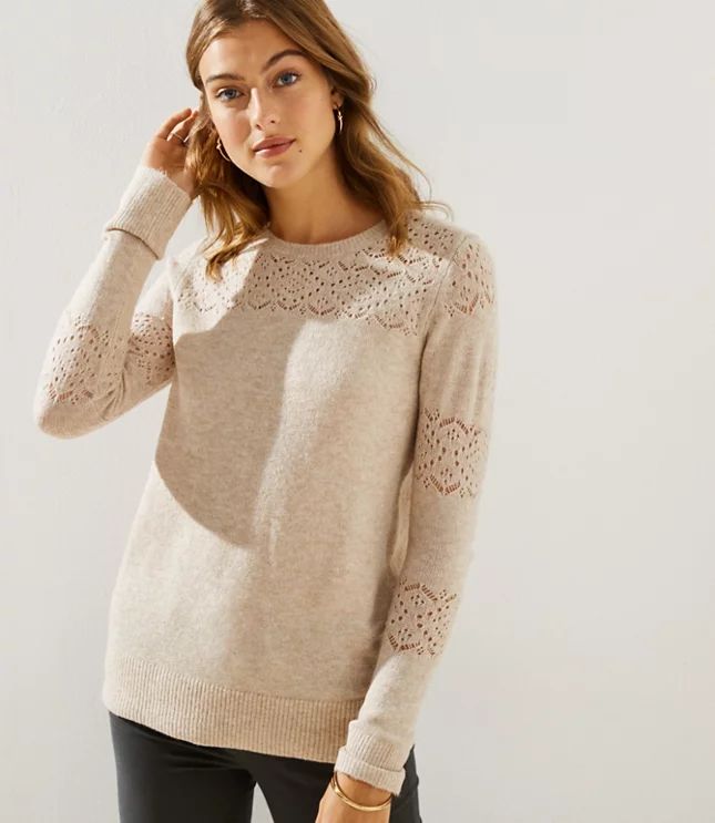 Lacy Pointelle Sweater | LOFT | LOFT