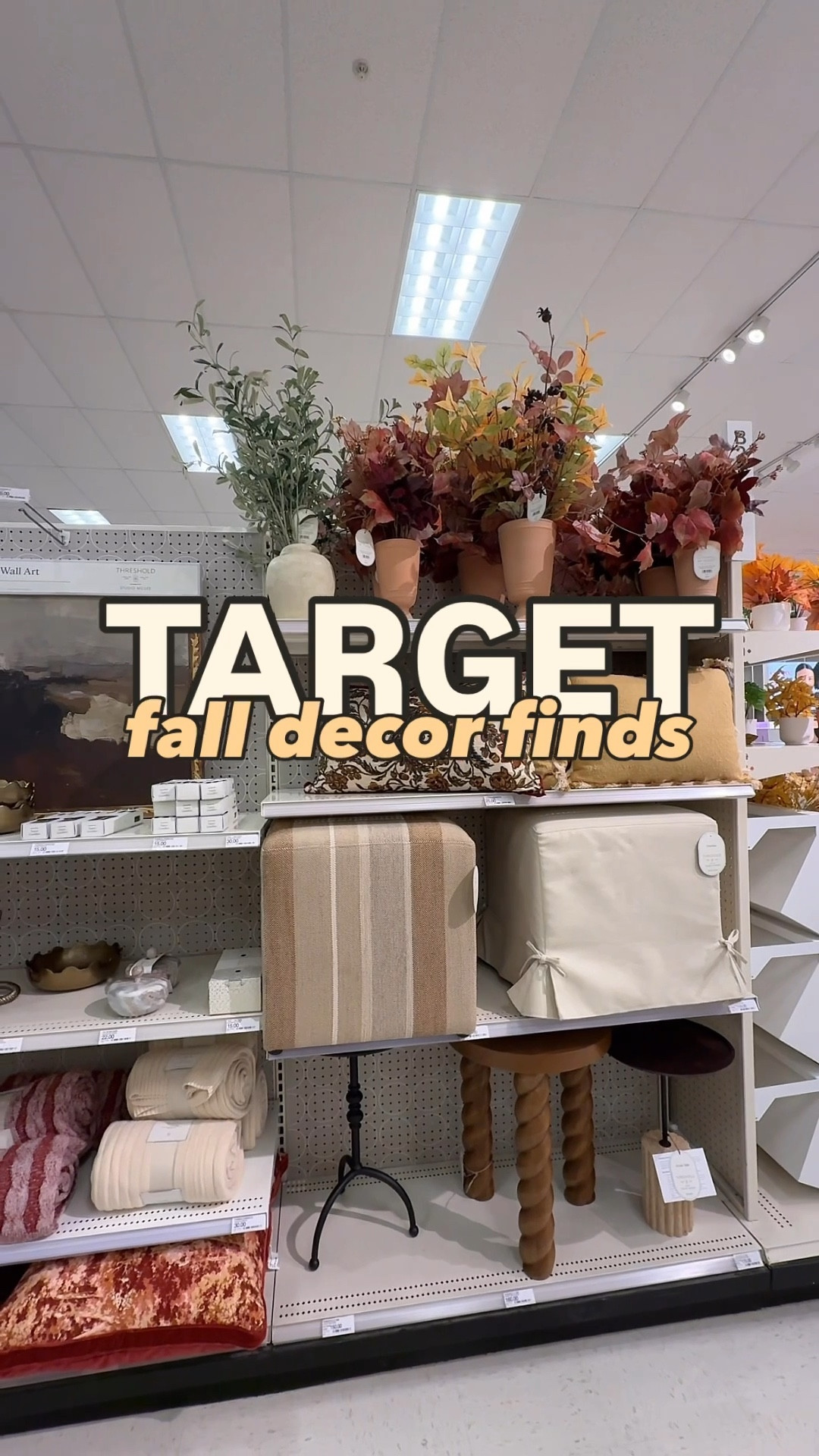 Oookay Target we see you 😍 the cutest fall decor finds! 

#LTKHome #LTKSeasonal
