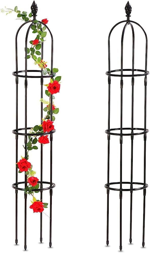 Garden Trellis for Climbing Plants Outdoor, 6Ft Tall Metal with PE Coated, Rustproof Plant Suppor... | Amazon (US)