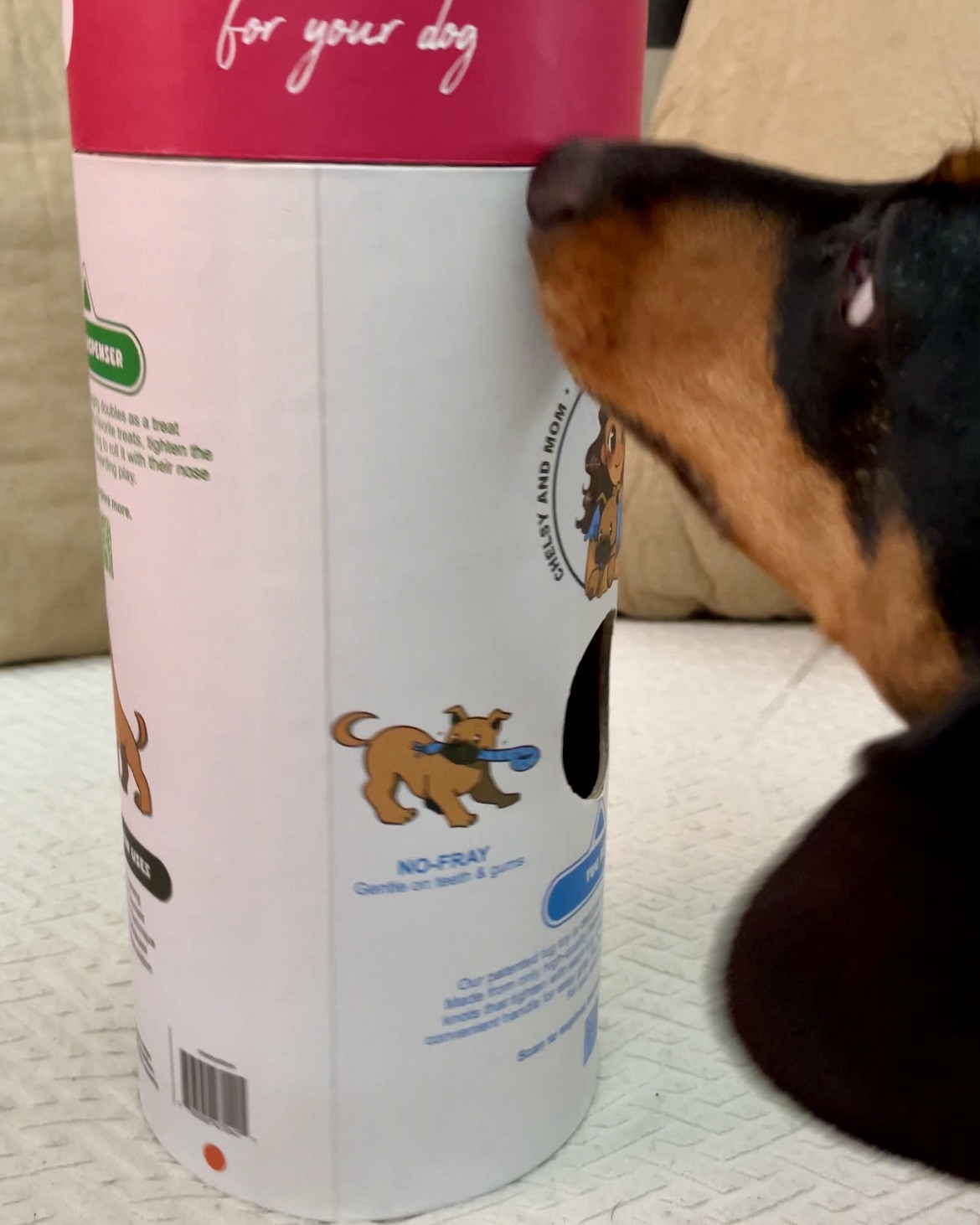 Dog enrichment tube - great for dogs who get bored easily. My mini dachshunds, Eko and Gretta, love this dog enrichment tube.  The fleece toys inside are fun to chew and the container itself is a treat dispenser. #minidachshund

#LTKPets #LTKHome #LTKFamily
