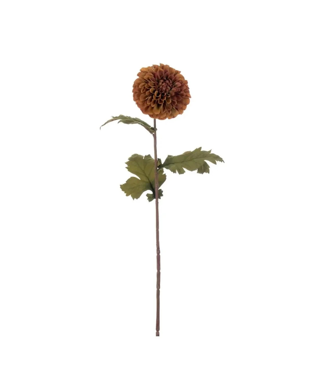 Amber Dahlia Stem | Brooke and Lou