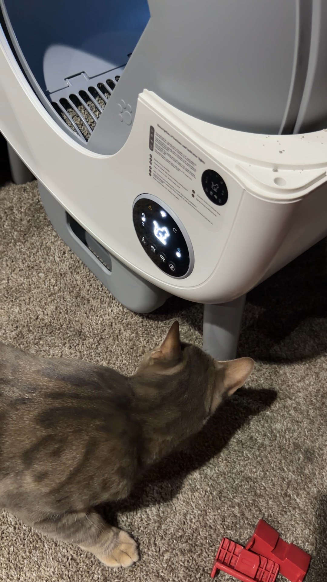 We got an automatic litter box and like that love watch the litter fall when it cleans! Used it without being prompted 😻