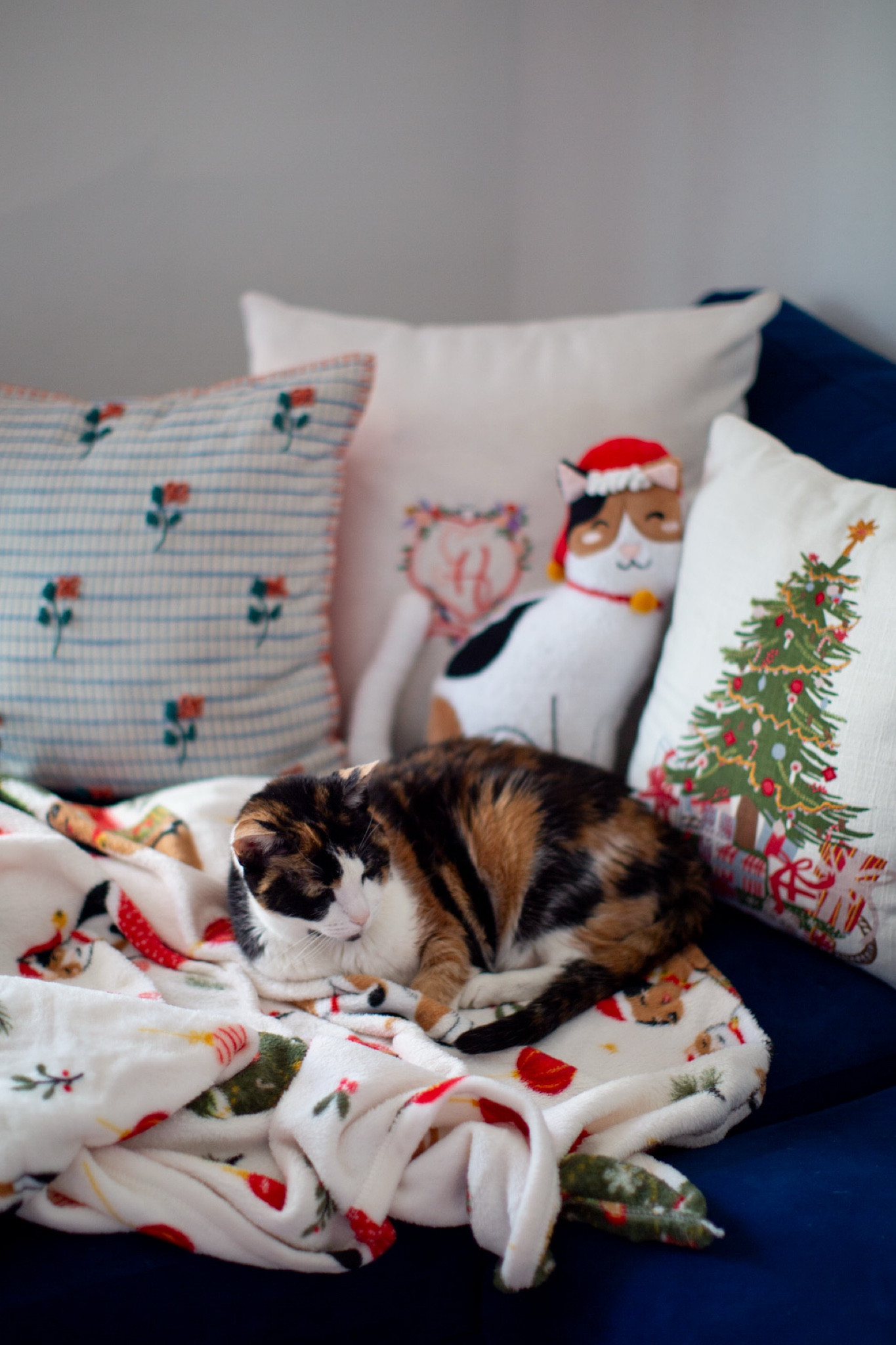 Cozy Christmas 

#LTKGiftGuide #LTKHome #LTKHoliday