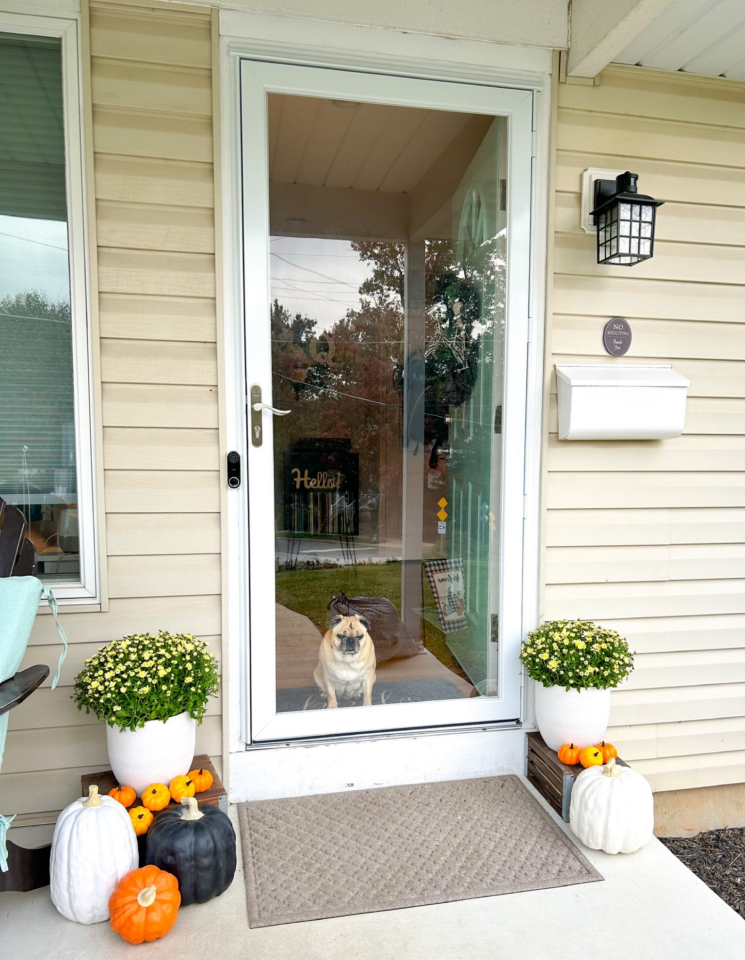It’s amazing what a few pieces of decor can do to make your front porch scream fall! 🍂 

#halloweendecor #falldecor #frontporchdecor #pumpkindecor

#LTKSeasonal #LTKHalloween #LTKhome
