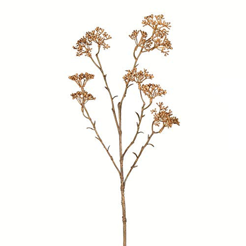 Vickerman Everyday 25" Artificial Beige Patrinia Spray - Faux Floral Decor - Home Or Office Arrangement Accent - Maintenance Free - 4 Pack | Amazon (US)