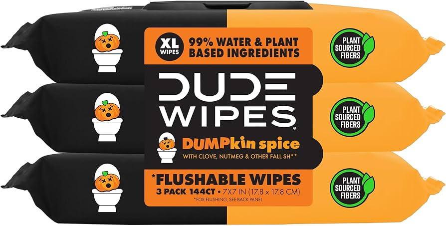 DUDE Wipes Dumpkin Spice Adult Flushable Wipes, Pumpkin Scented, 144 Count | Amazon (US)