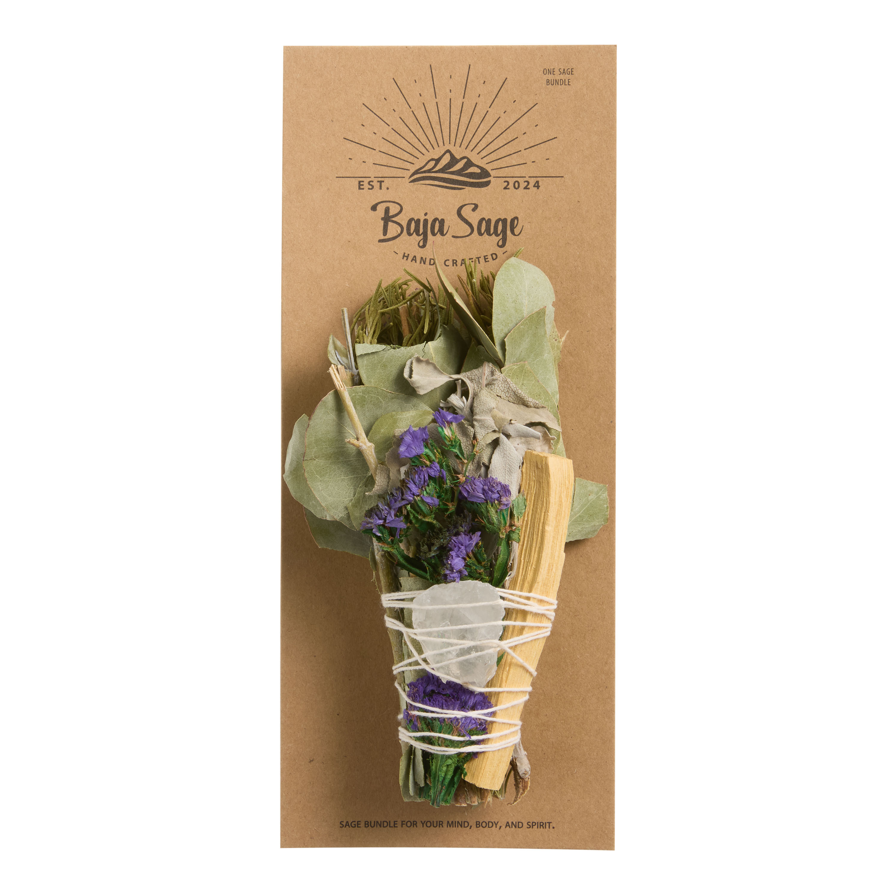 Baja Sage Crystal and White Sage Bundle | World Market
