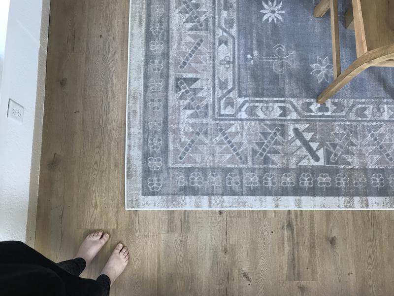 4' x 6' Whitney Rug | Rugs.com