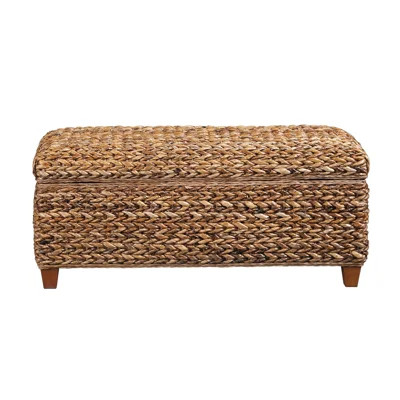 Cesily Accent Trunk | Wayfair North America