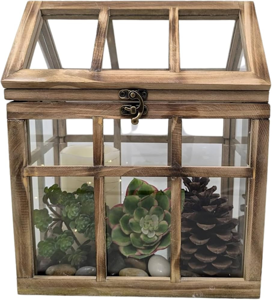 Orchid & Ivy Large Rustic Wood & Glass Plant Succulent Terrarium with Lid - 12" x 9.8" x 7" Decor... | Amazon (US)