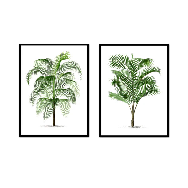 Vintage Large Palm Pair | Urban Garden Prints