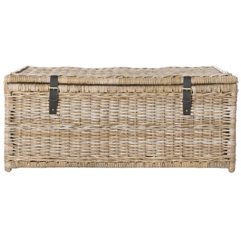 Highland Dunes Ammann Wicker Trunk & Reviews | Wayfair | Wayfair North America