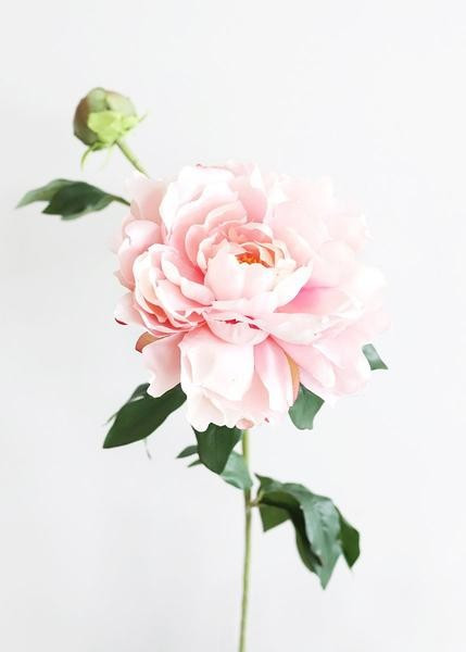 Artificial Peony Flower in Light Pink - 30" Tall | Afloral (US)