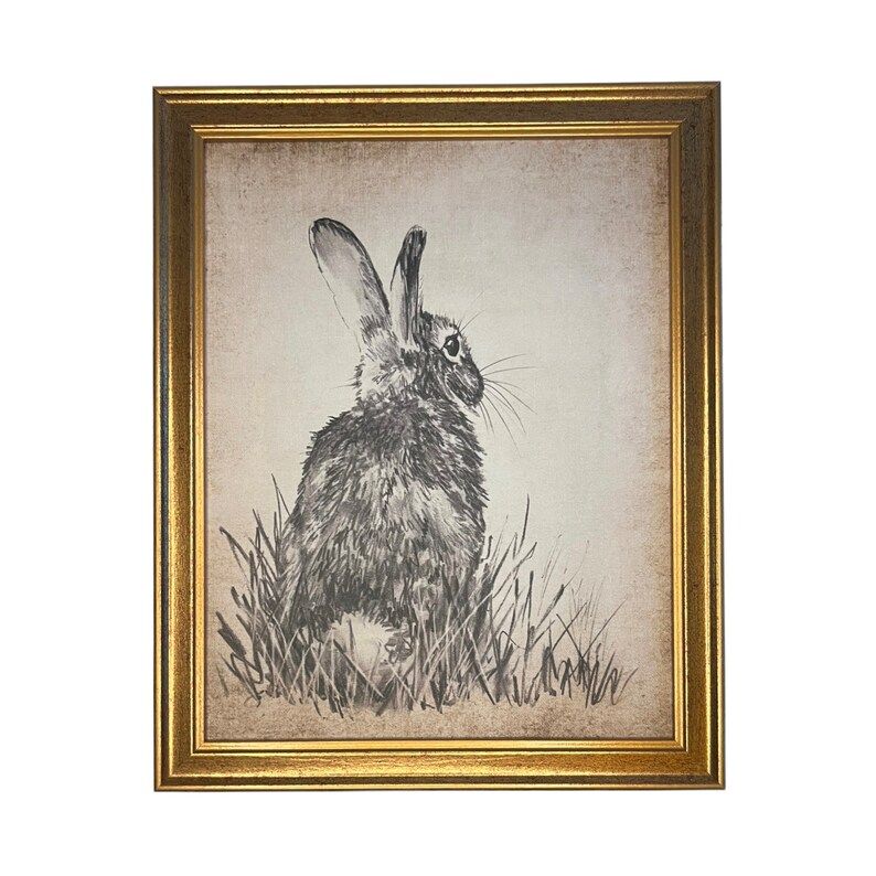 Vintage Framed Canvas Art  // Framed Easter Art // Vintage Rabbit Print // Vintage Bunny Sketch /... | Etsy (US)