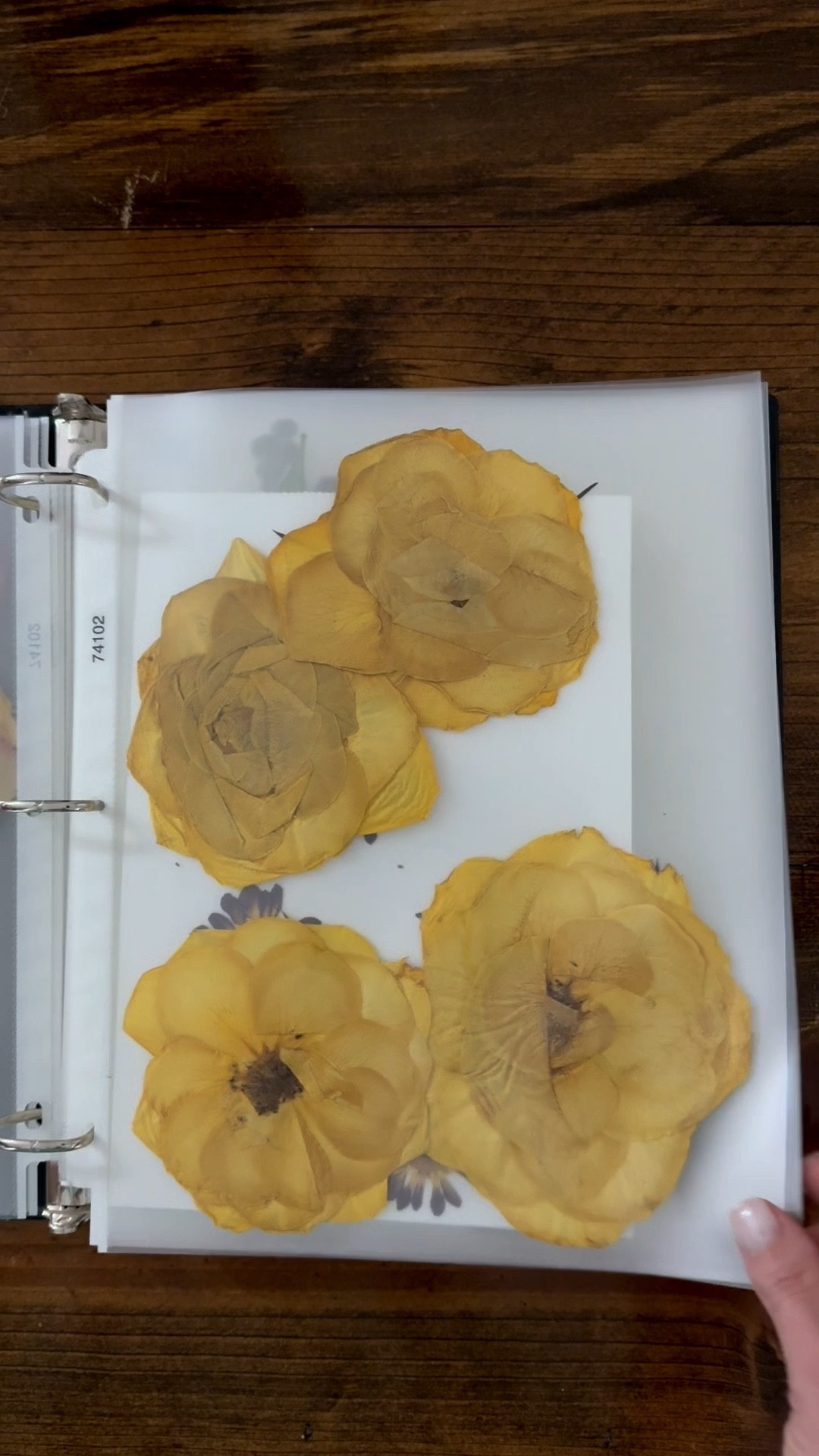 Organizing my pressed flower collection 🌸 
There’s something so calming about separating blooms, greenery, and loose petals before starting a new DIY project. 
Linking craft storage + hobby essentials that make creative days easier 🤍

#LTKvlog #LTKdayinmylife #LTKHome