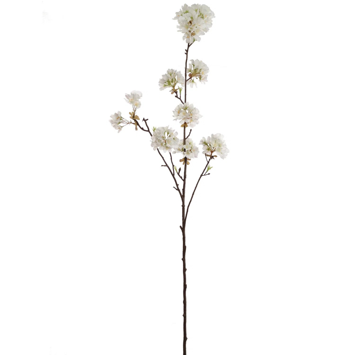 Primrue 12 - Piece Artificial Cherry Blossom Branch Set | Wayfair | Wayfair North America