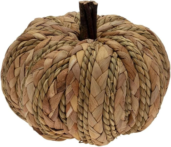 Boston International Pumpkin D\u00e9cor Autumn & Fall Decorations, Small, Woven Wicker | Amazon (US)
