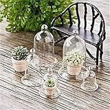 Fairy Garden - Figurine - Statuette - Miniature Dollhouse - Decor - Glass Cloches 6 PCS | Amazon (US)