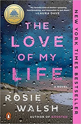 The Love of My Life: A Novel     Paperback – January 17, 2023 | Amazon (US)